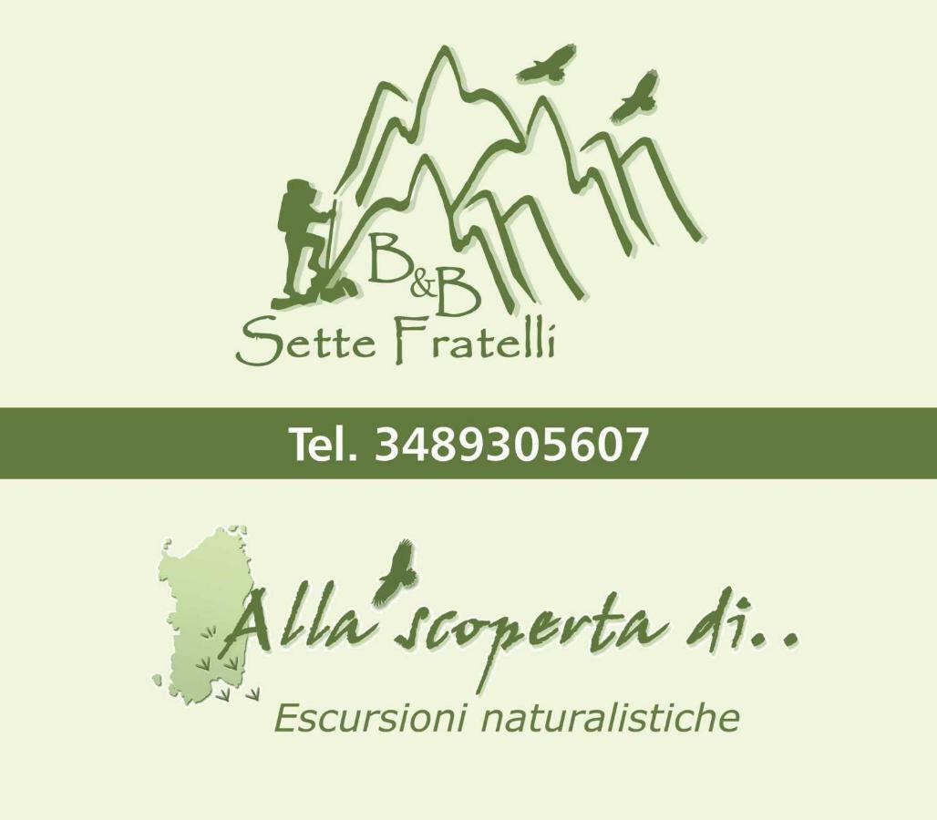 B&B Sette Fratelli San Gregorio  Exterior foto
